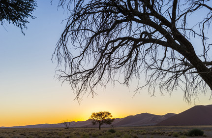 Namibie, Sossusvlei