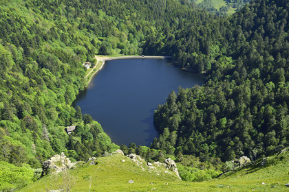 France, Vosges