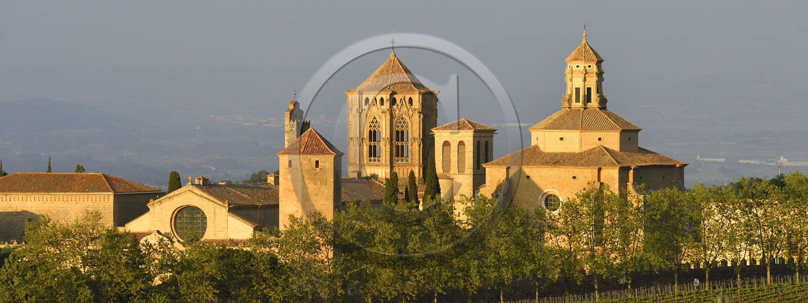 Espagne, Poblet