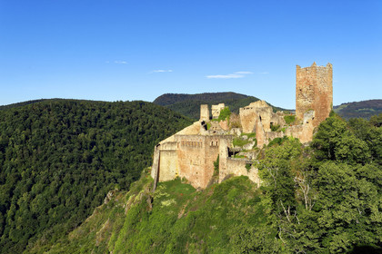 France, Ribeauville