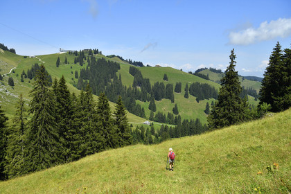 Suisse, Gruyeres