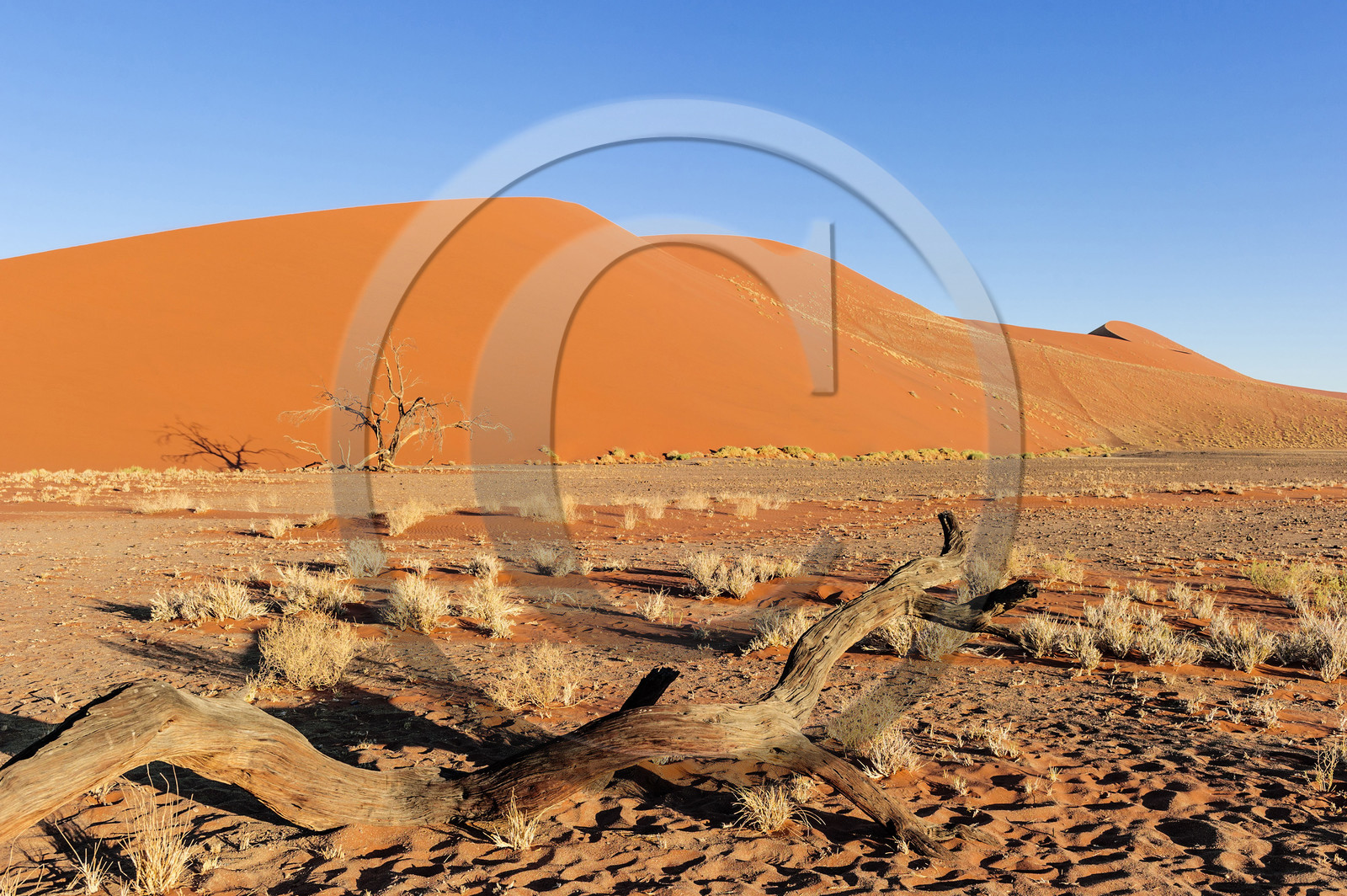 Namibie, Sossusvlei