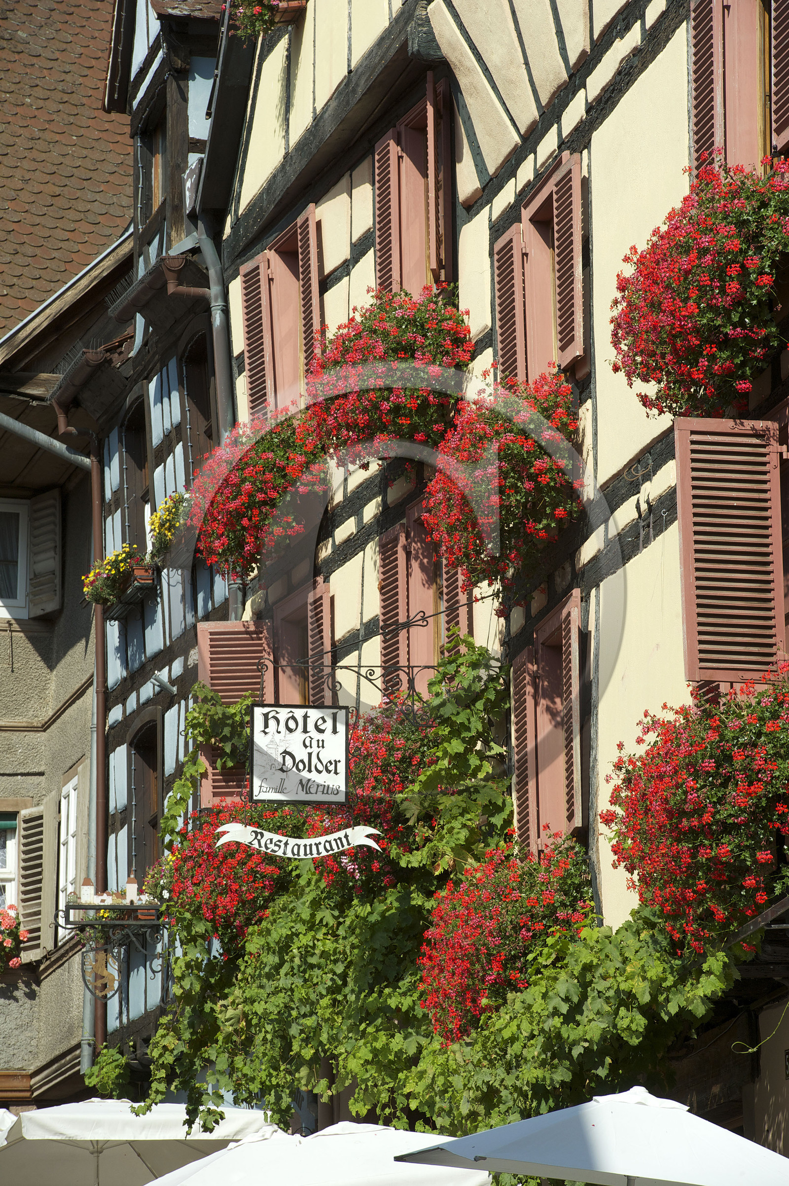 France, Riquewihr