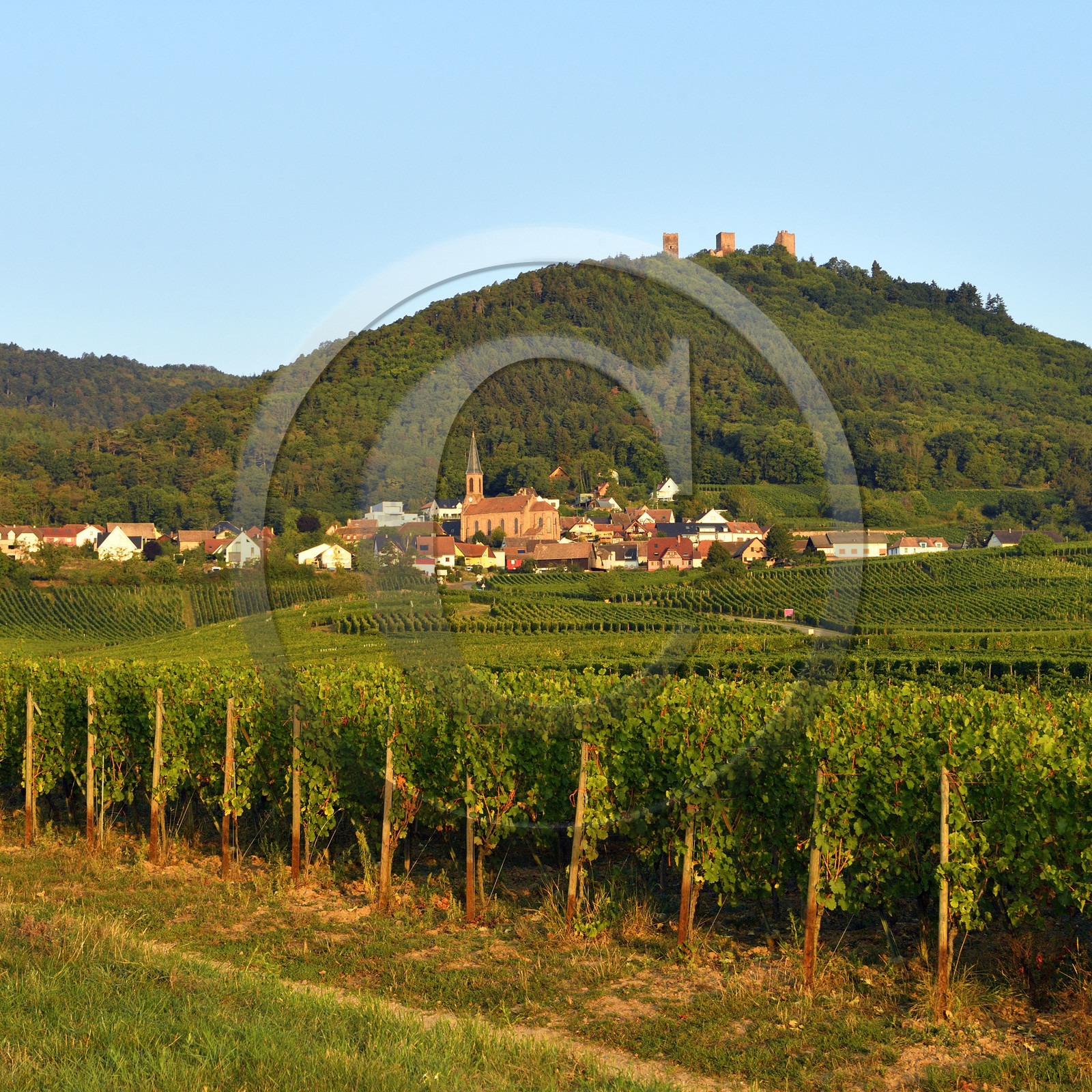 France, Husseren