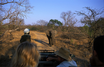 AFRIQUE DU SUD