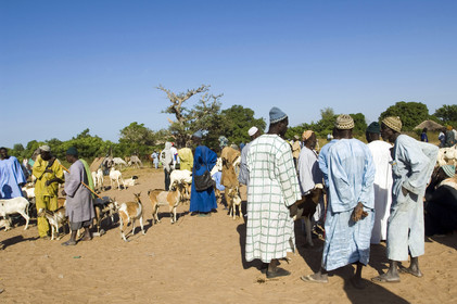 Marché de Gueguenne, Sénégal