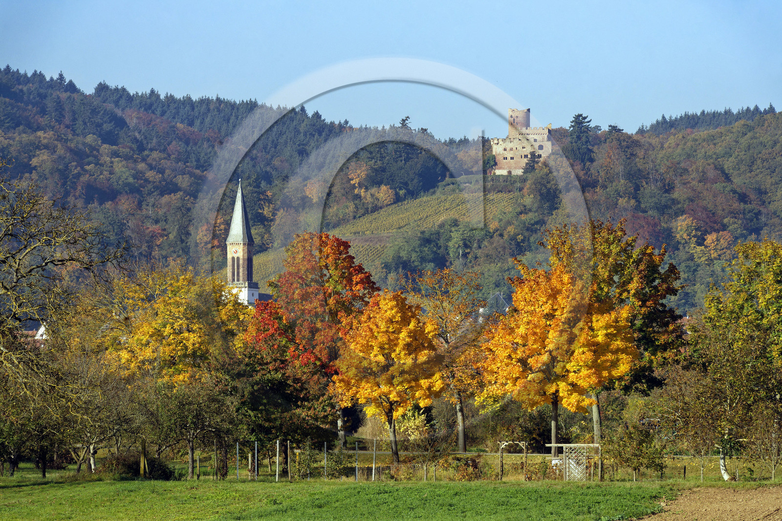 France, Kintzheim