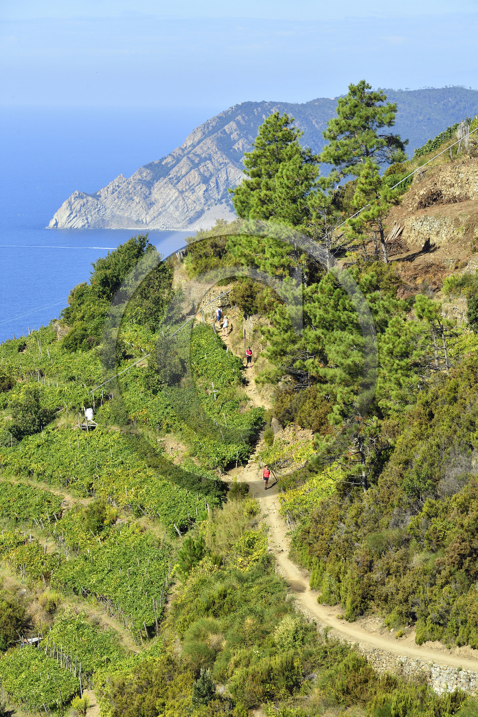 Italie, Cinque Terre