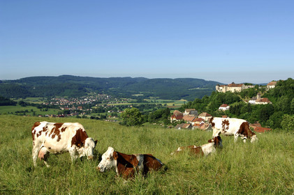 Franche-Comte, France
