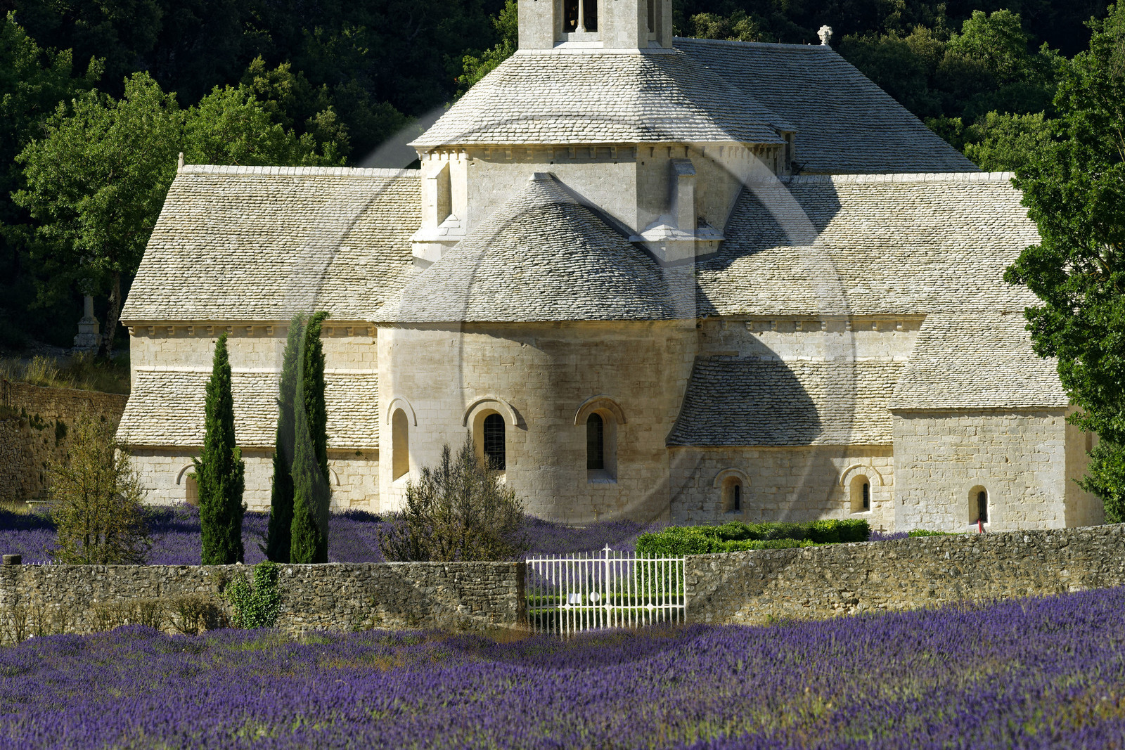France, Senanque