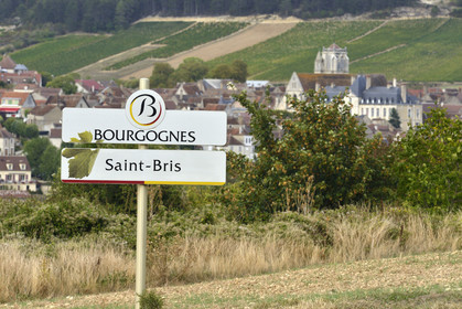 France, Auxerre
