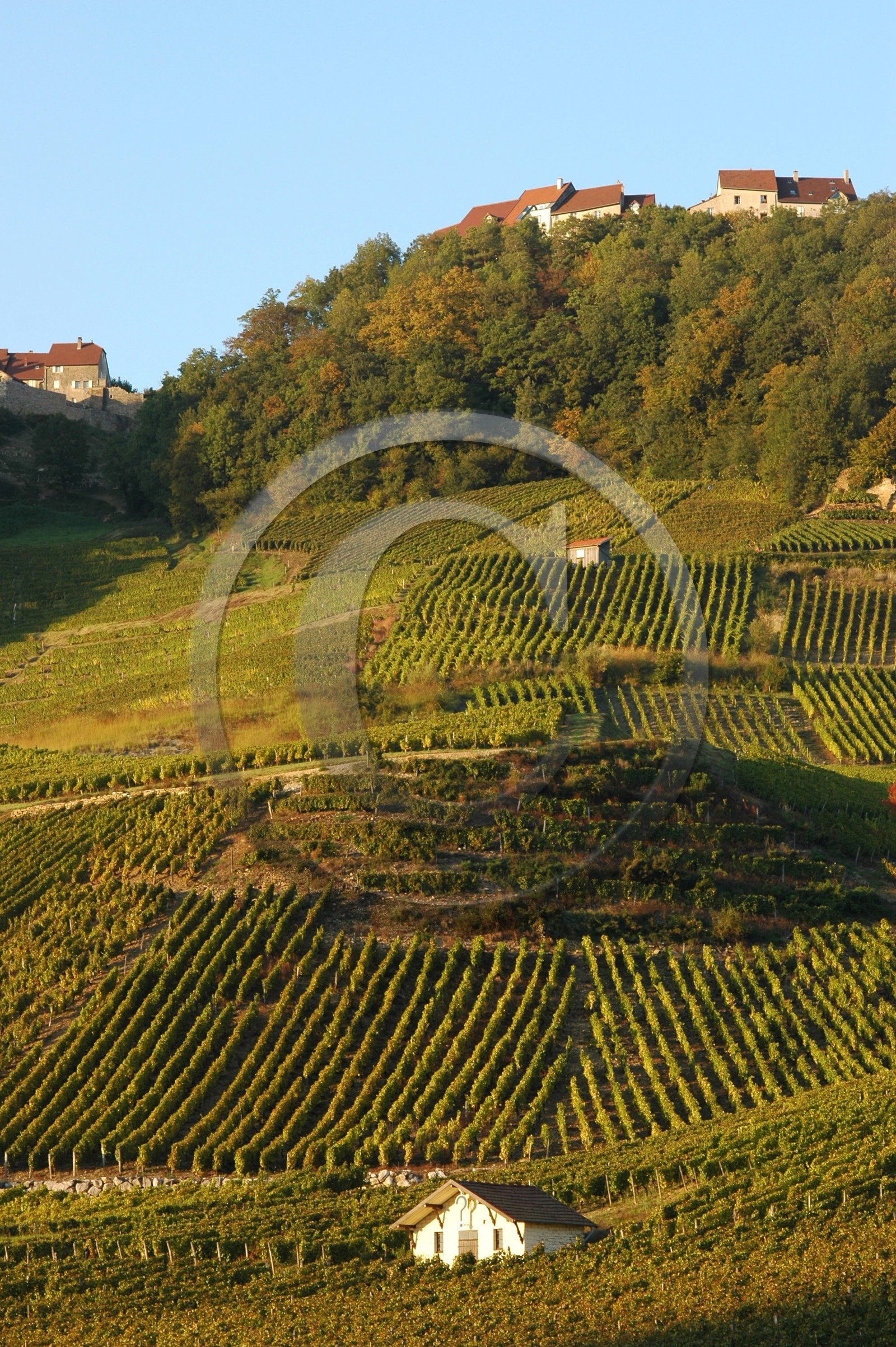 Franche-Comte, France