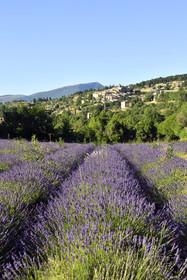 France, Sault
