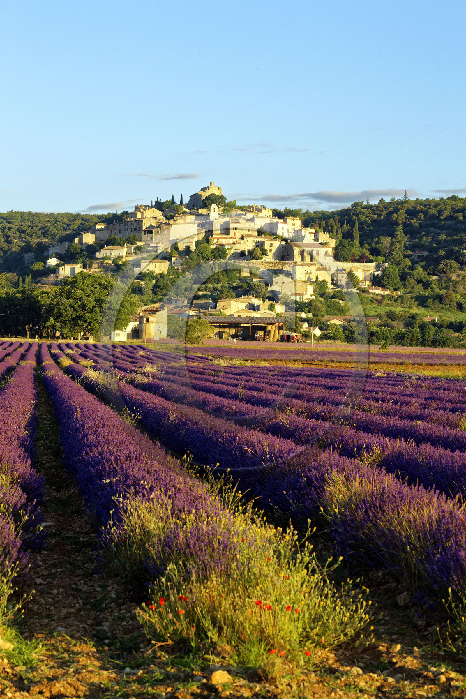 France, Simiane la Rotonde