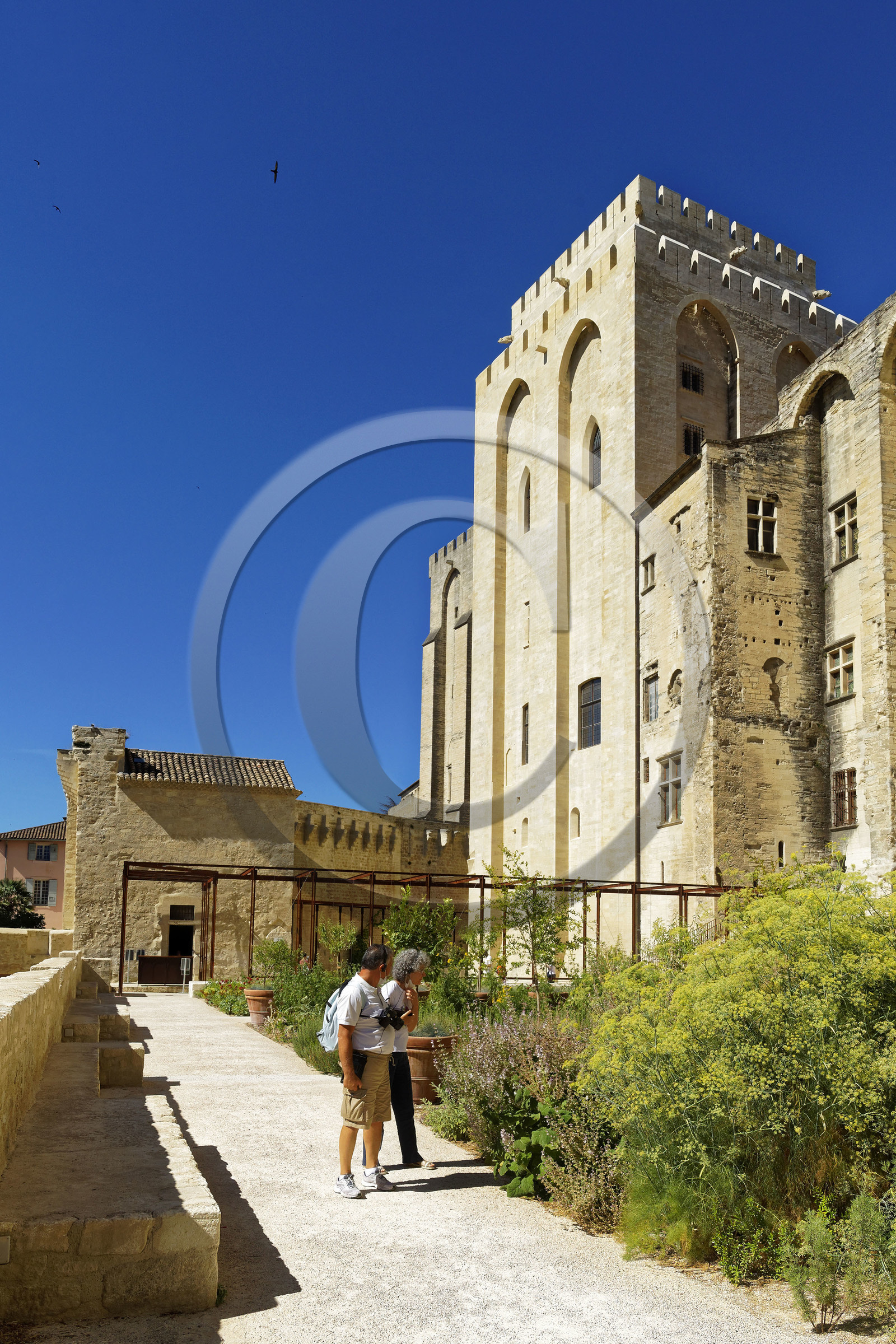 France, Avignon