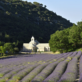 France, Senanque