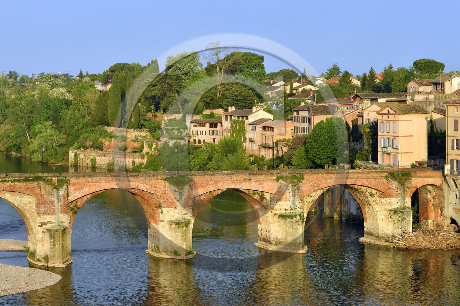 France, Albi