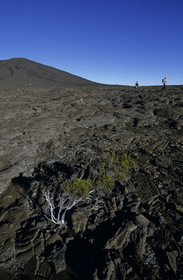 Ile de la Réunion.France