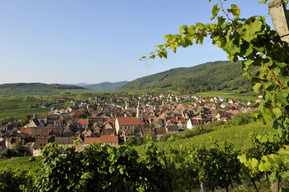 France, Riquewihr