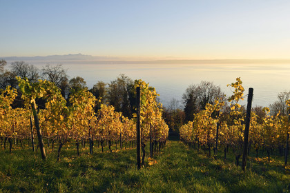 Allemagne, Meersburg