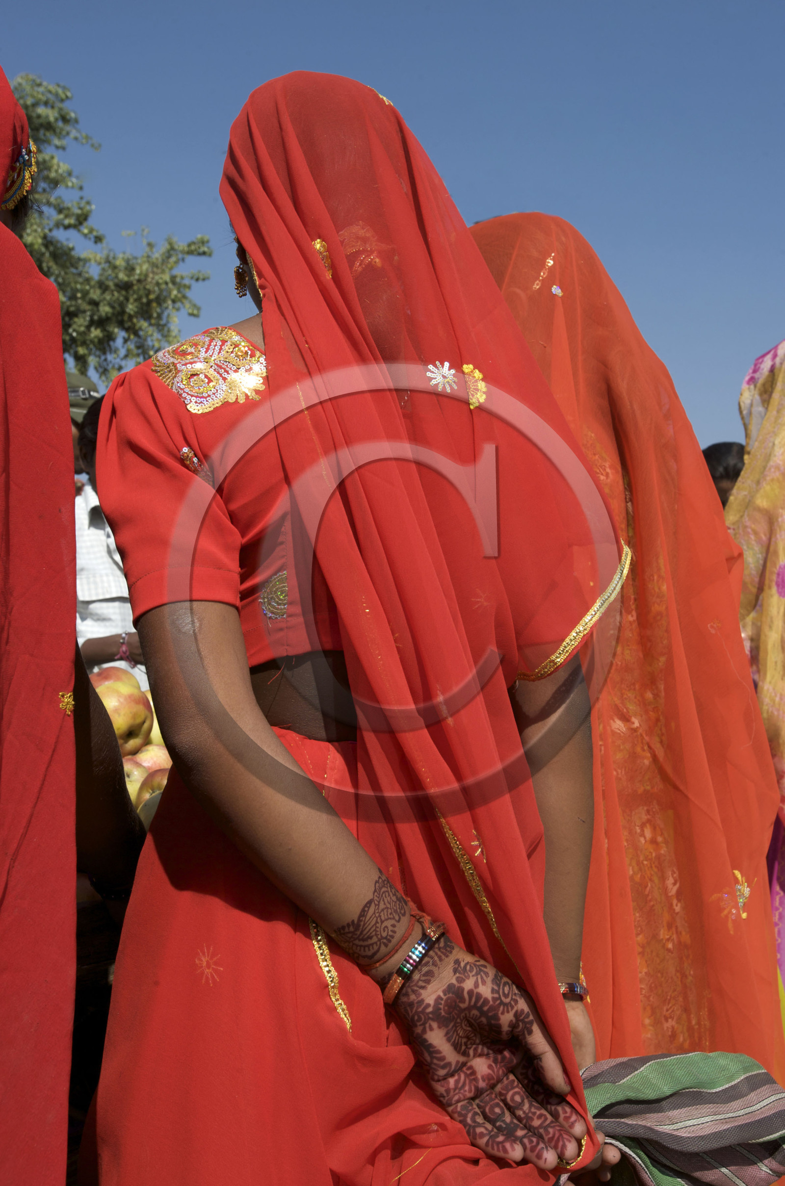 Inde, Pushkar