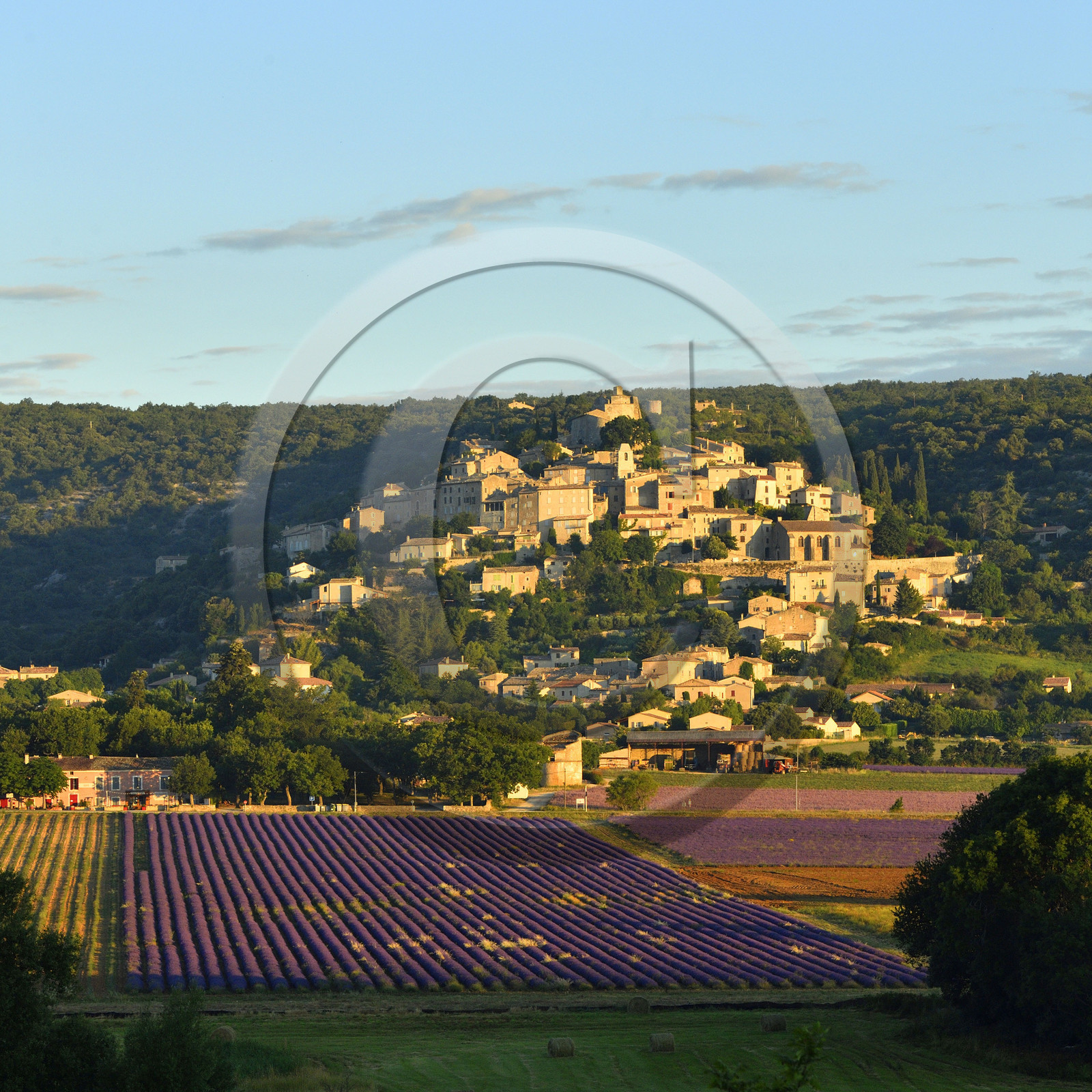 France, Simiane la Rotonde