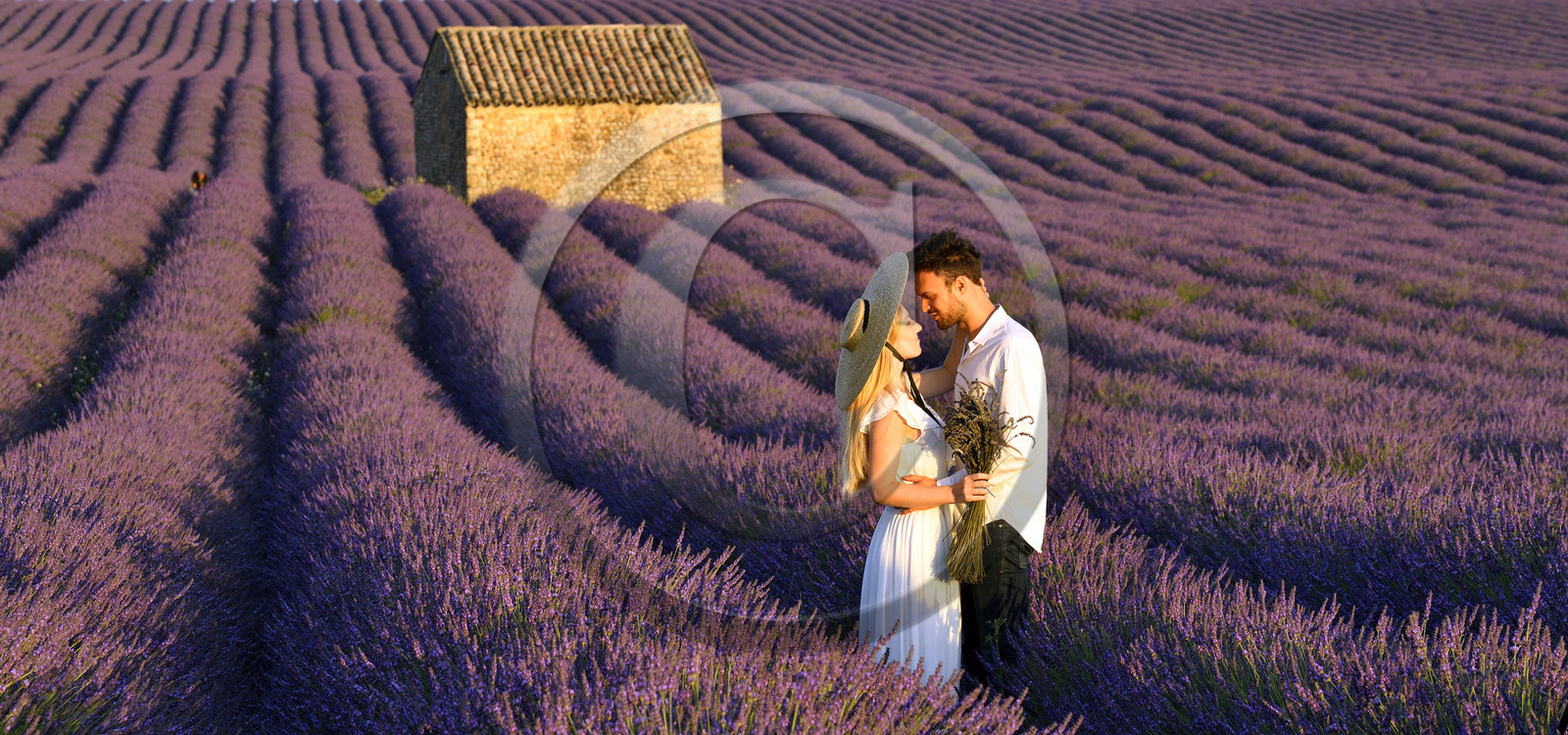 France, Valensole