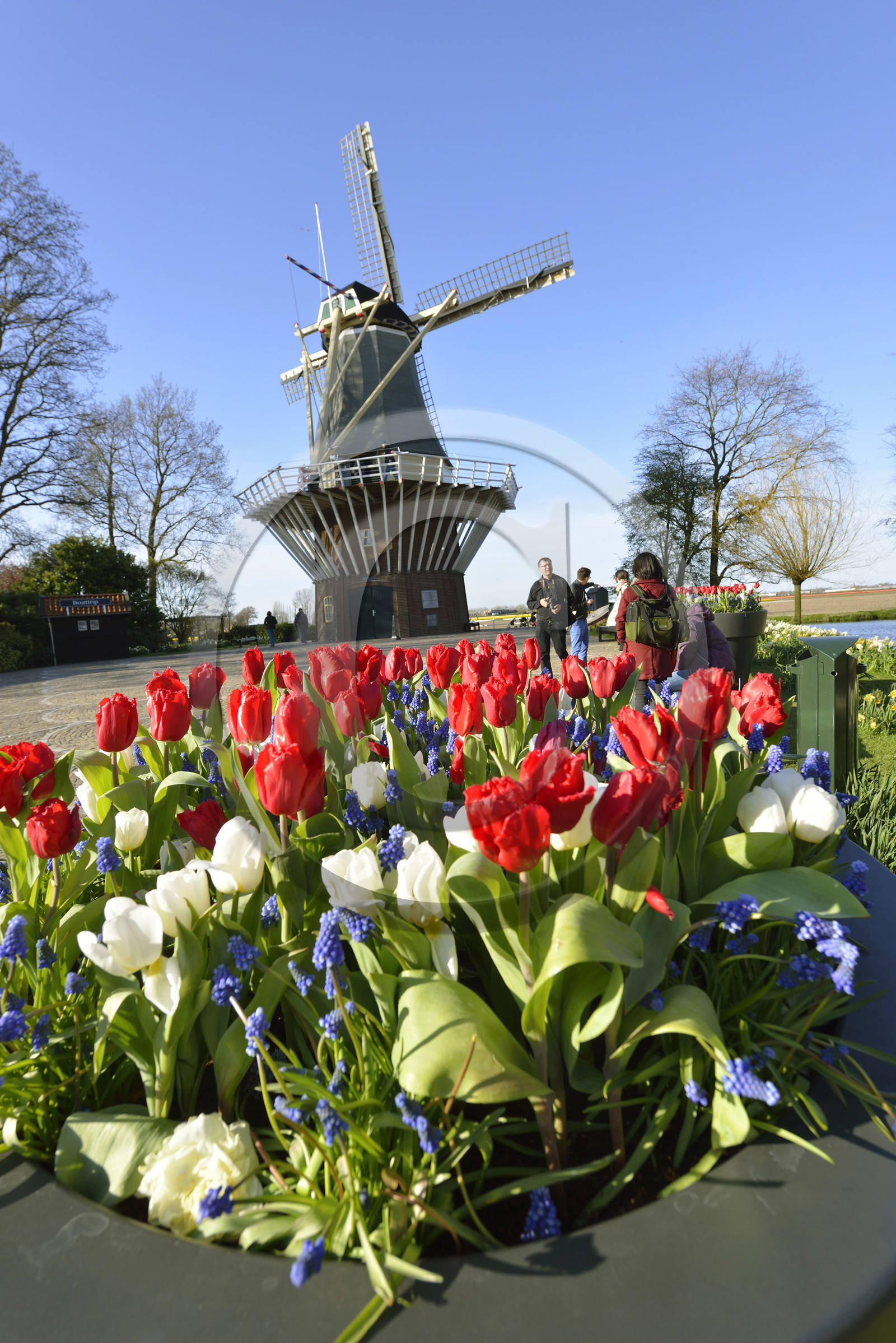 Hollande, Keukenhof