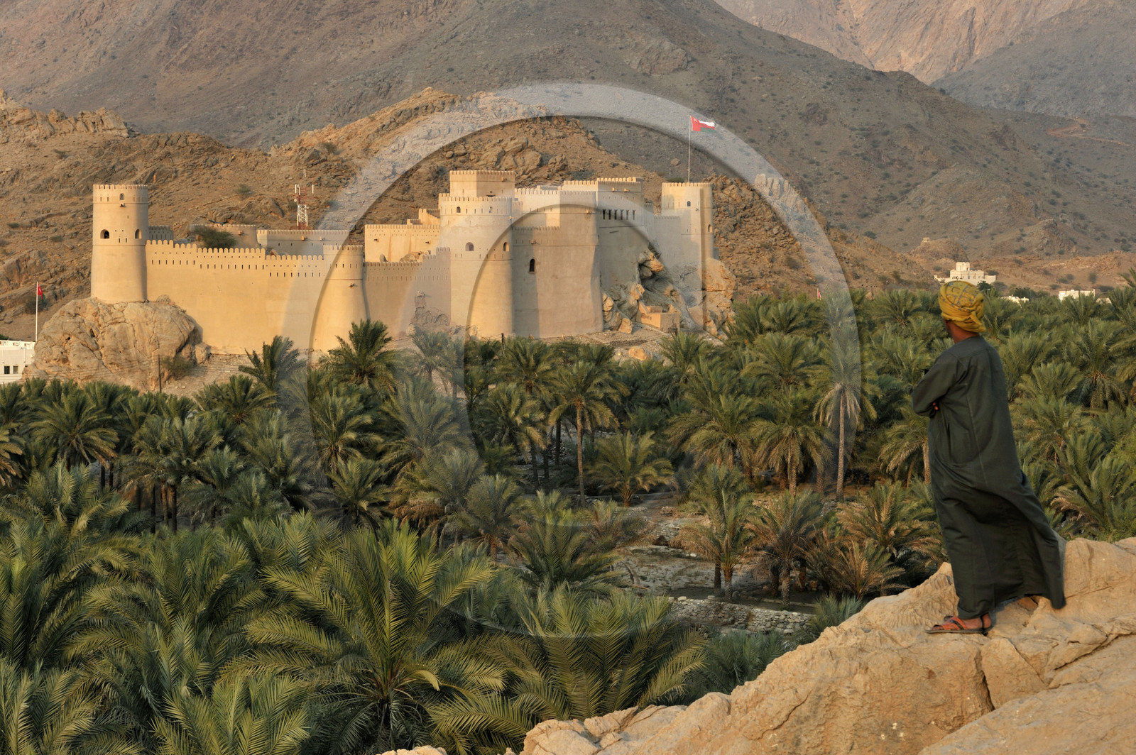 Oman, Nakhl