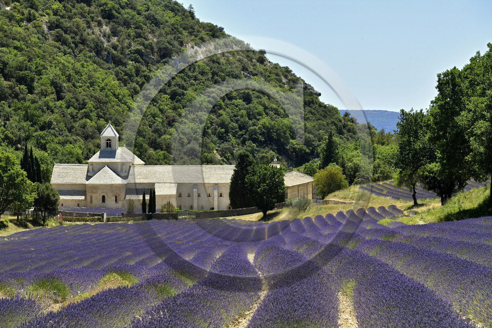 France, Senanque