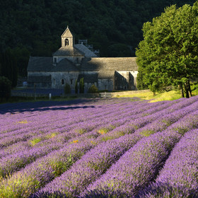 France, Senanque