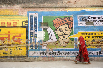 Inde, Rajasthan