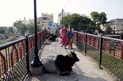 Inde, Udaipur