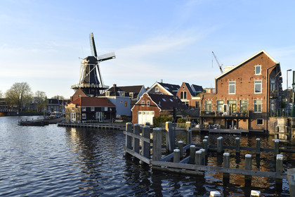 Hollande, Haarlem