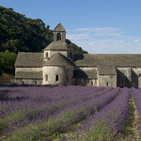 France, Senanque