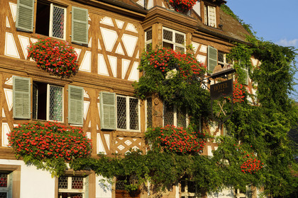 France, Turckheim