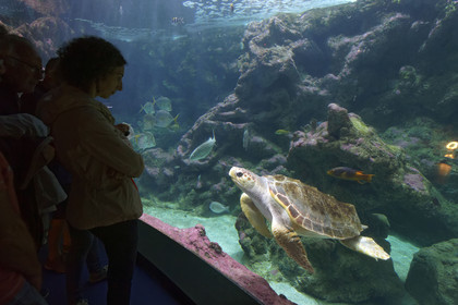 France, Oceanopolis