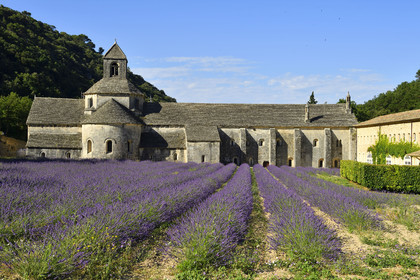 France, Senanque