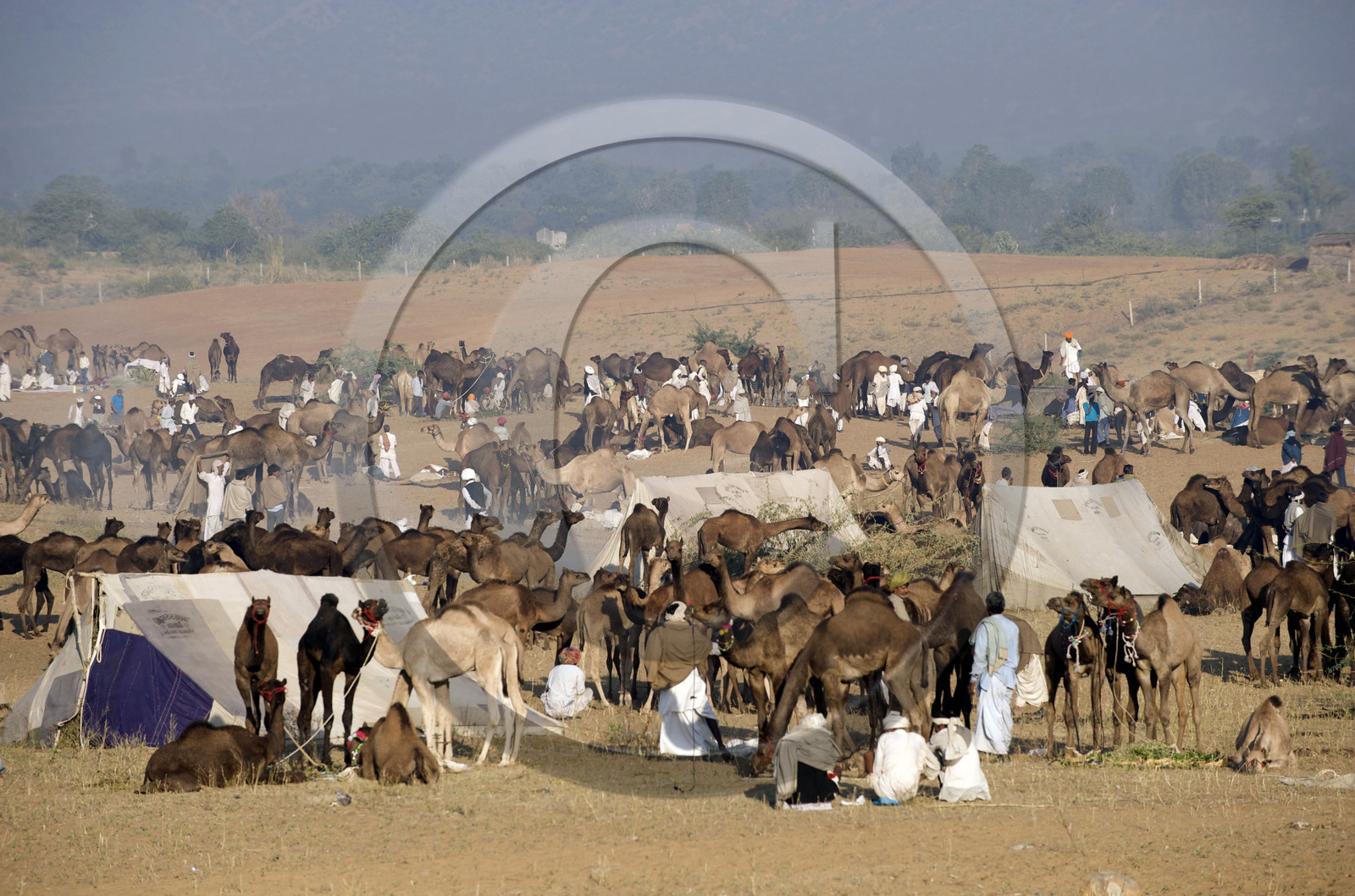 Inde, Pushkar