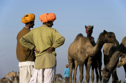 Inde, Pushkar