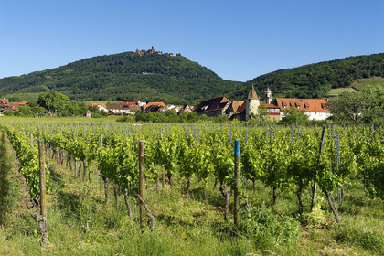 France, Chatenois