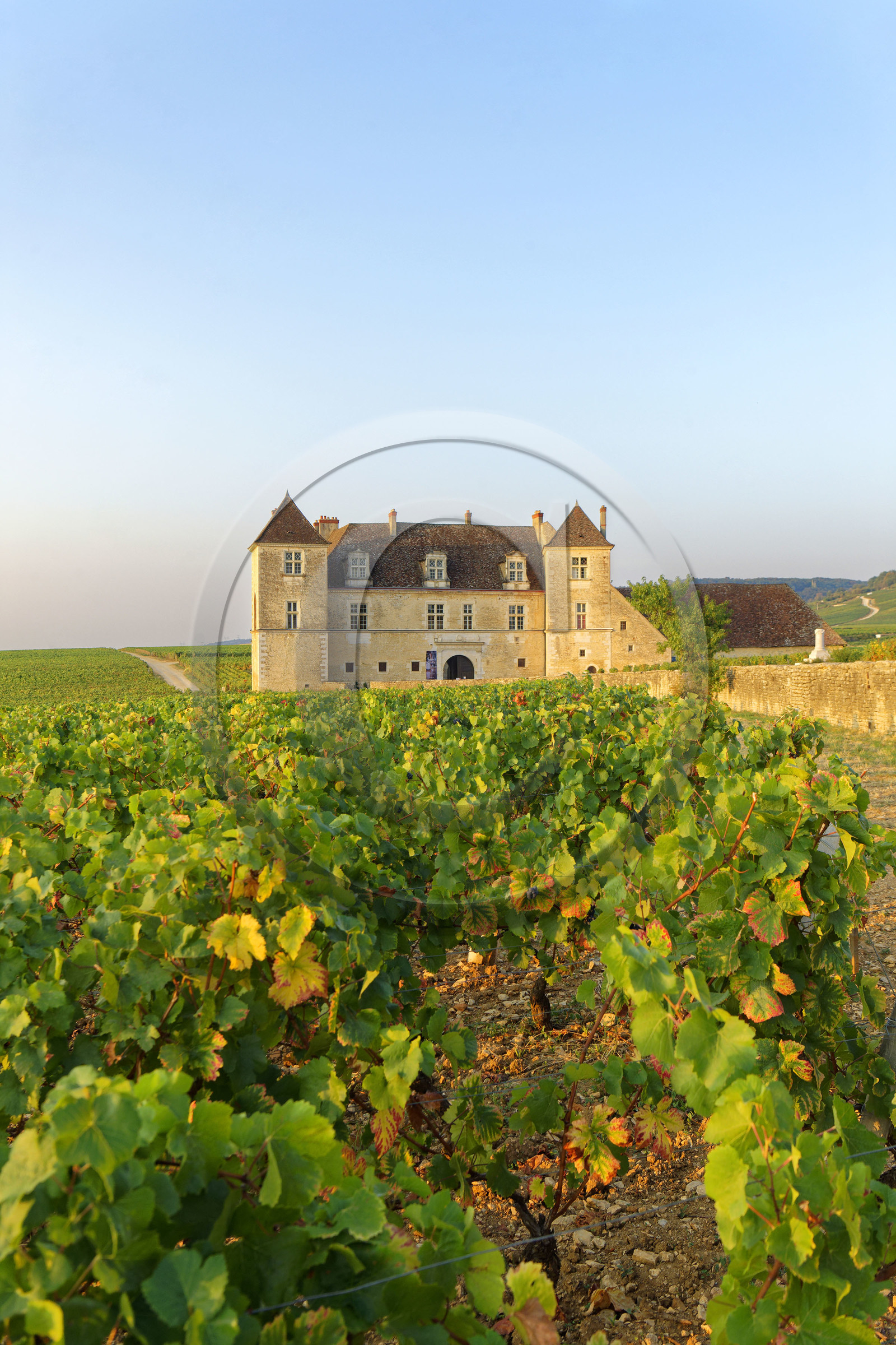 France, Vougeot