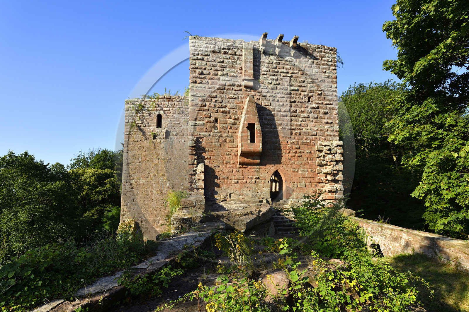 France,  Niederbronn