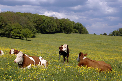 Franche-Comte, France