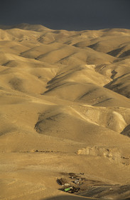Palestine, Israel