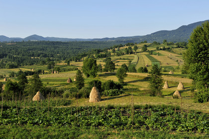 Roumanie, Maramures