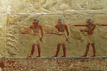 Egypte, Saqqara