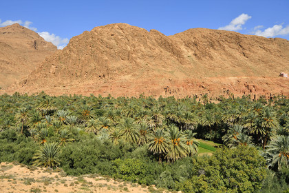 Maroc, Tineghir