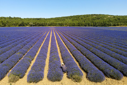 France, Sault