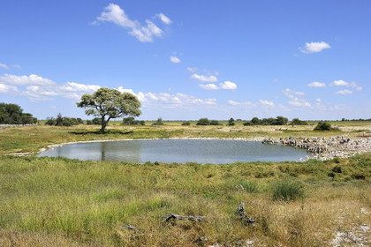 Namibie, Etosha